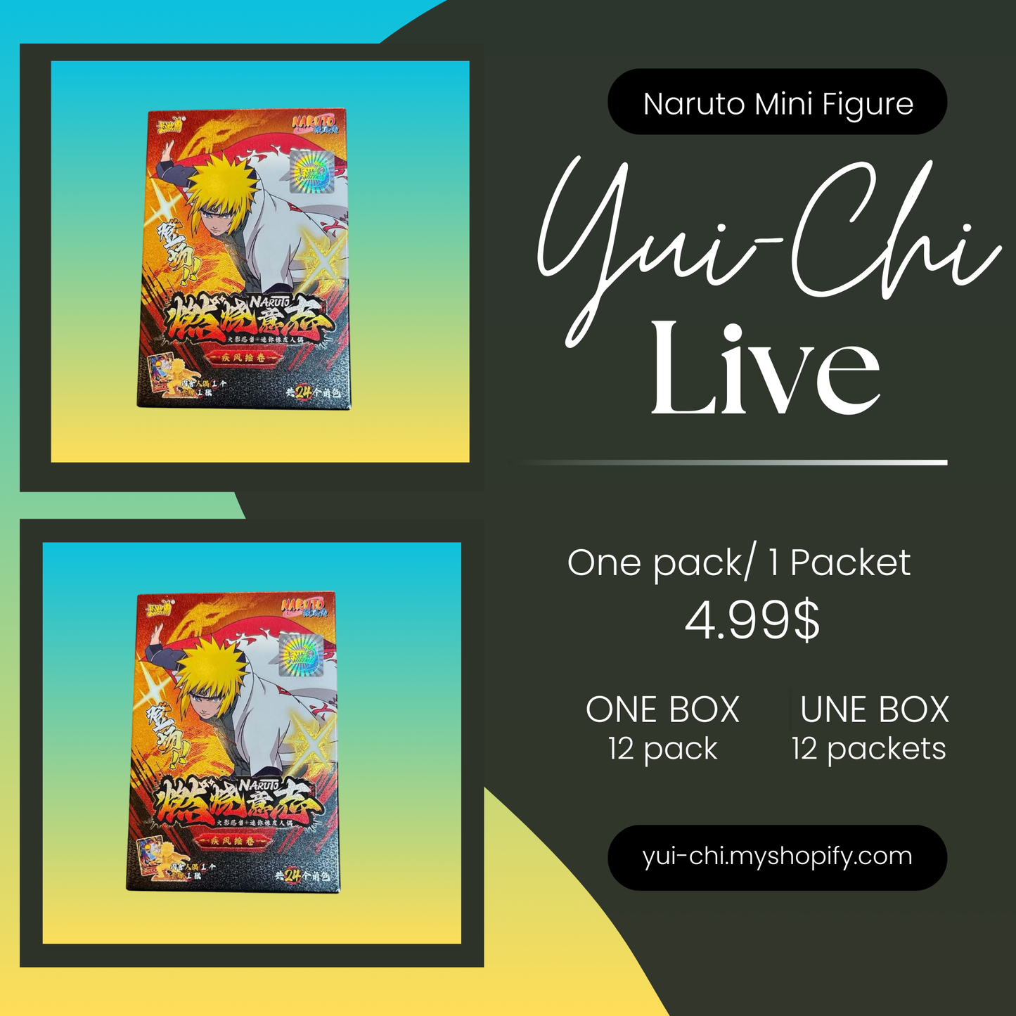 (Live) Pokémon Vivid Voltage