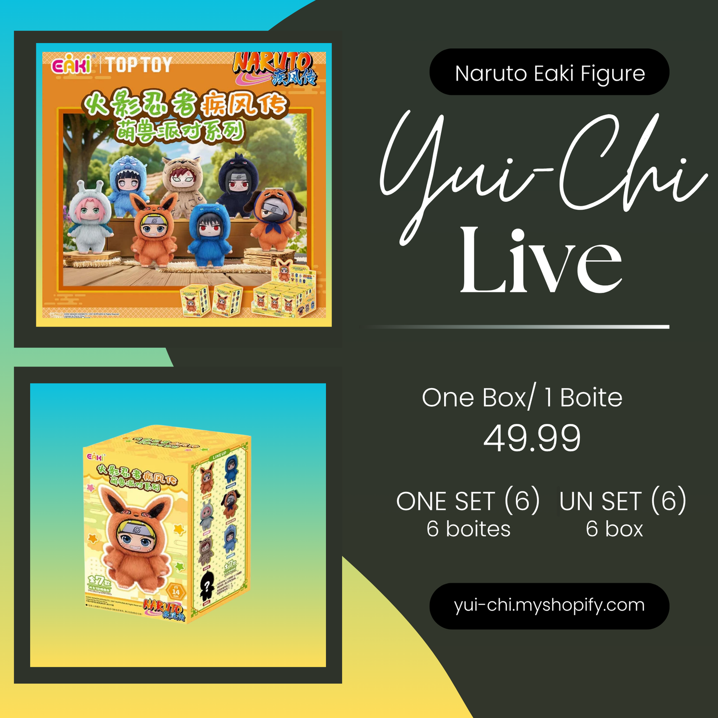 (Live) Pokémon Vivid Voltage
