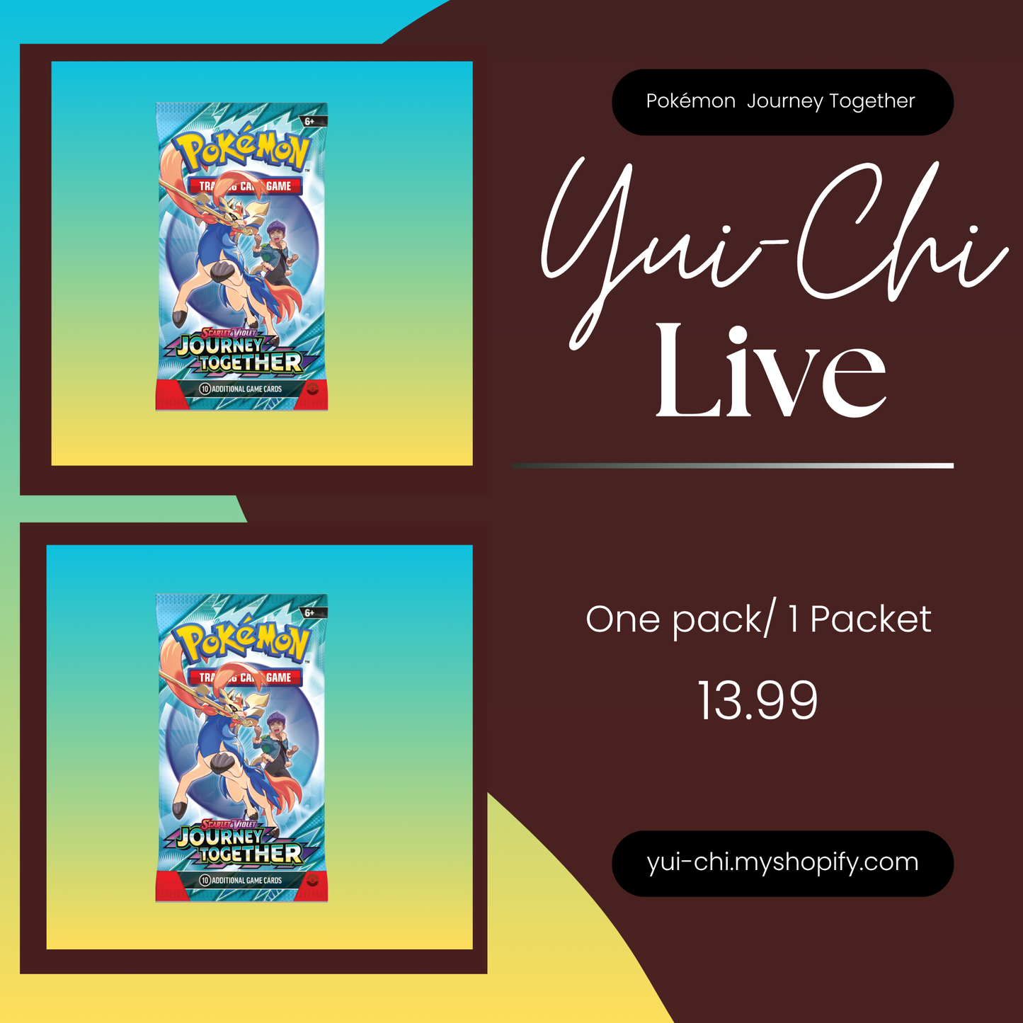 (Live) Pokemon Journey Together