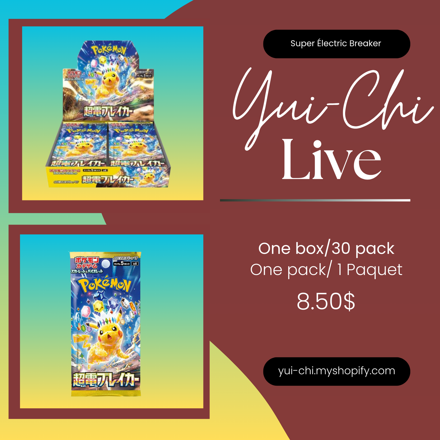 (Live) Japanese Pokémon Terastal Festival