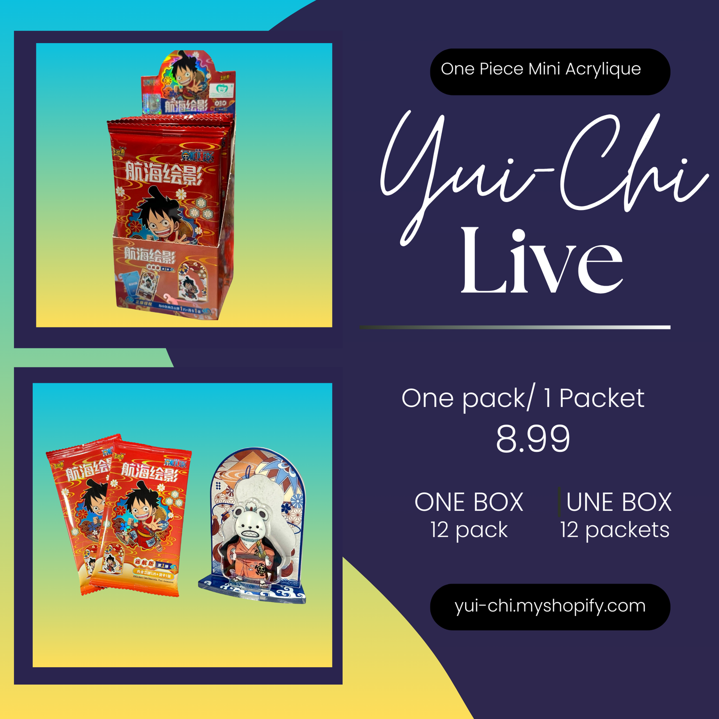 (Live) One Piece Mini Acrylique