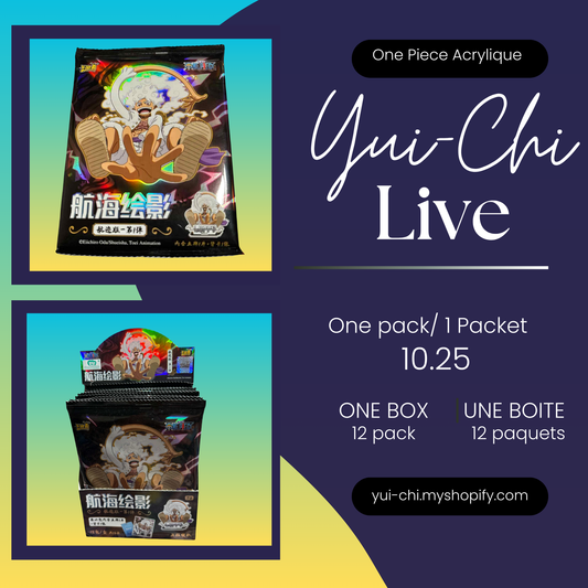 (Live) One Piece Acrylique